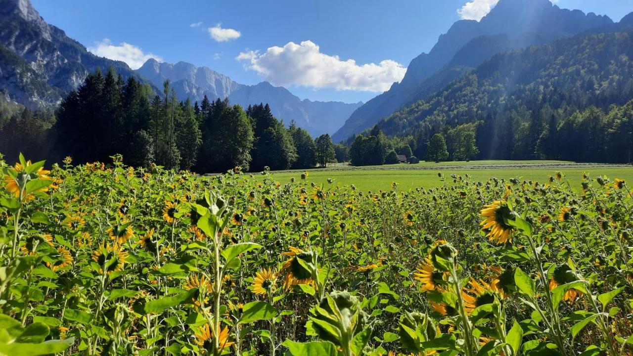 House Godec - Ratece Planica Apartman Kranjska Gora Kültér fotó